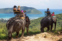 Elephant Riding 4.webp