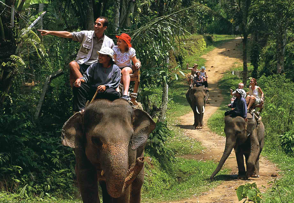 Elephant Riding 6.webp