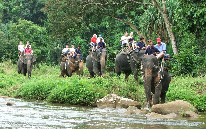 Elephant Riding 7.webp