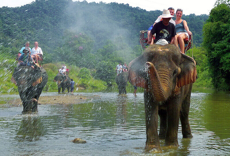 Elephant Riding 8.webp