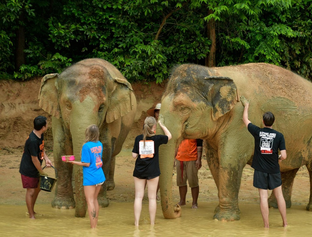 Phuket Elephant Care - Explore with Elephant (Full Day)