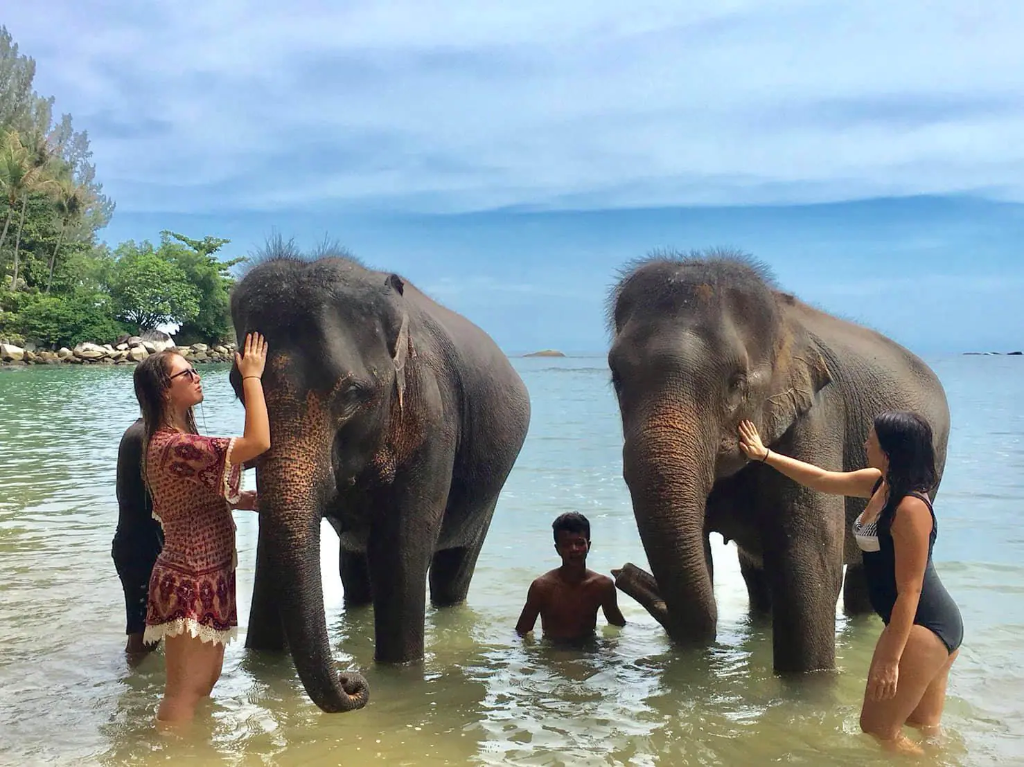 Elephant Riding - Jungle Seaview with Elephant Trekking 30 min.