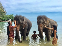 Elephant Riding - Jungle Seaview with Elephant Trekking 30 min.