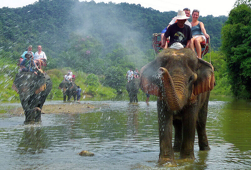 Elephant Riding - Jungle Seaview with Elephant Trekking 45 min. + Bathing in the Jungle Pool 30 min.