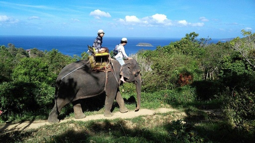 Elephant Riding - Jungle Seaview with Elephant Trekking 45 min.